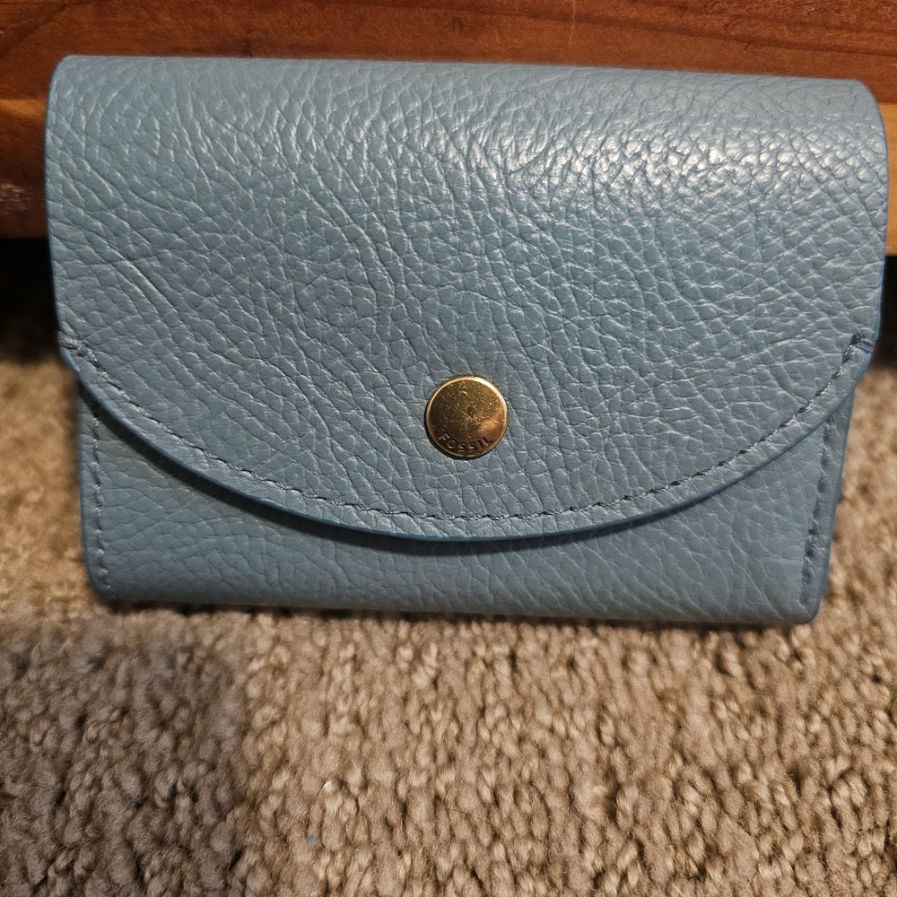 Fossil Blue Pebbled Leather Small